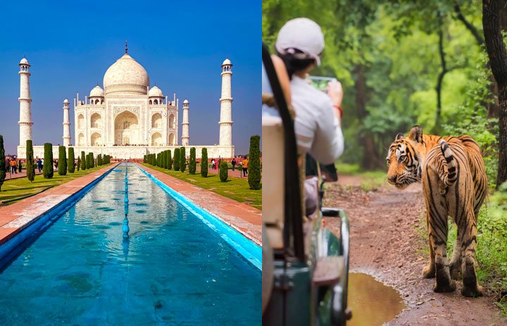 Golden Triangle with Ranthambore