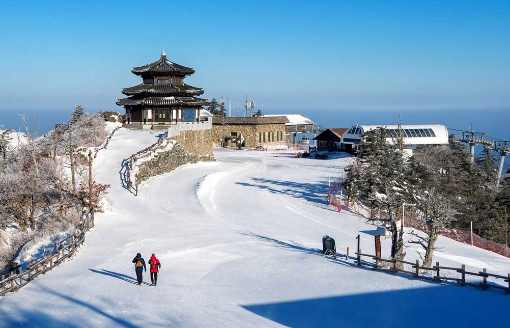Shimla